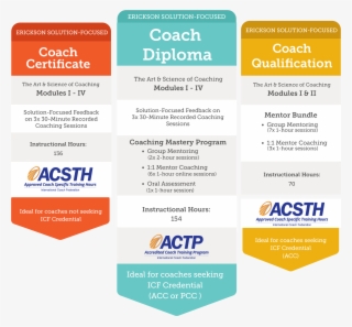 Erickson Coach Training Programs - Acsth