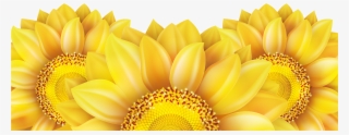 Sunflower Vector Png - Vector Sunflower Png
