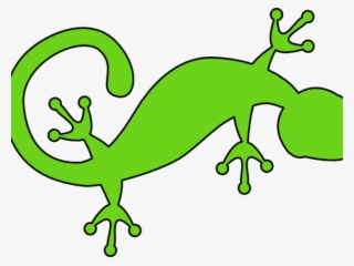 Gecko Cliparts - Draw A Cartoon Salamander