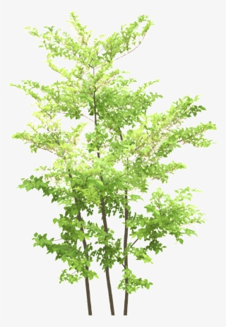 Green Maple Leaf Transparent - Blue Flower Tree Png