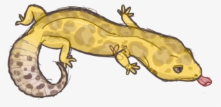 “there's A Small Chance I Might Be Getting A Leopard - Leopard Gecko Doodle