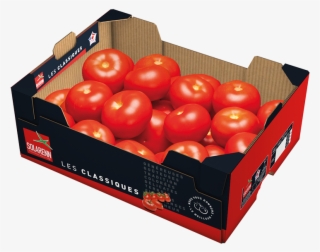 Les Tomates - Plum Tomato