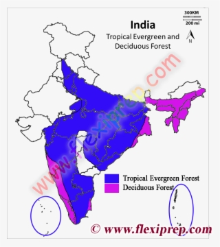 Tropical Evergreen Forest In India Map From Flexiprep - Map Of India