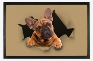 Peeking Frenchie ﻿sublimation Doormat - French Bulldog