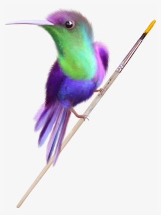 Vous Trouverez De Belles Images Pour Vos Blogs - Hummingbird