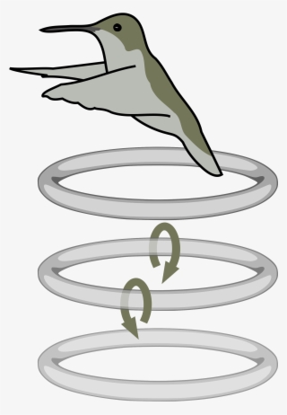 Open - Hummingbird Flaps Diagram