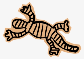 Vector Illustration Of Salamander Lizard-like Amphibian - Illustration