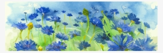 Delphinium