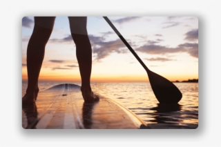 Guest Services - Paddle Board Nature