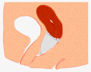 Menstrual Cup Pos3 - Menstrual Cup Inside Vagina