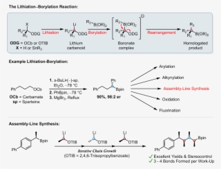 Lithiation Borylation And Assembly Line Synthesis - Diagram