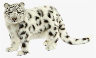 Hansa Creation Inc - Hansa Snow Leopard 4272