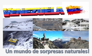 País Flag Of Venezuela - Snow