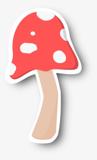 This Png File Is About Toadstool , Cut Out , Shroom - Shiitake