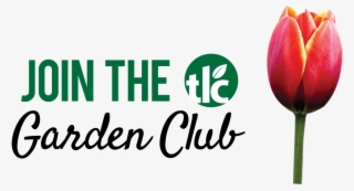 Join The Tlc Garden Club - Sprenger's Tulip