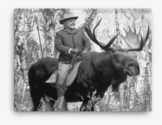 Teddy Roosevelt Riding A Bullmoose Canvas - Roosevelt Riding Moose