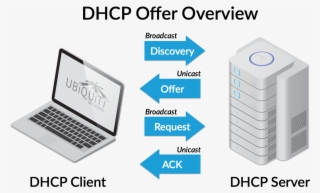 Dhcp Offer Overview - Dhcp Network