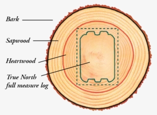True North's Log Homes Are Built With The Finest Wood - Circle