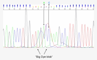 The Blob Can Be At Background Level, Or Override The - Plot