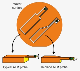 Typical Afm Probe With An Out Of Plane Tip And A Lateral
