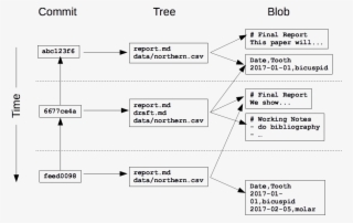 Commit Tree Blob Structure - Diagram