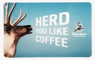 caribou card- herd you like coffee - keep calm and make coffee