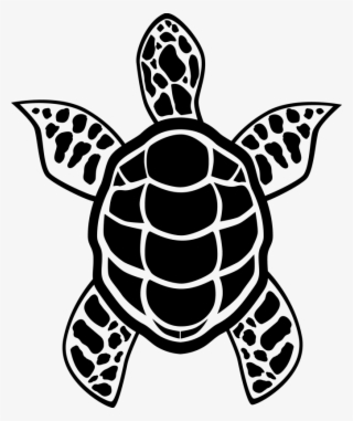 I Will Recreate Your Art Into A Finished Vector - Hawksbill Sea Turtle