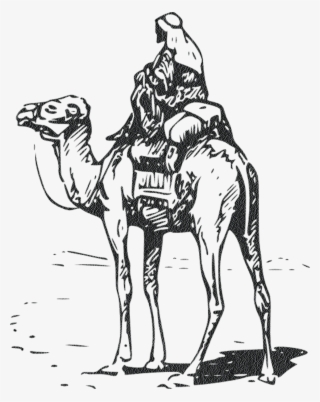 Camel Png Image & Camel Png Clipart Free Download - Jesus Riding A Camel
