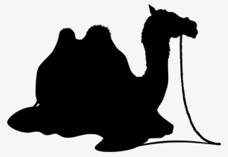 Download Png - Camel Clip Art