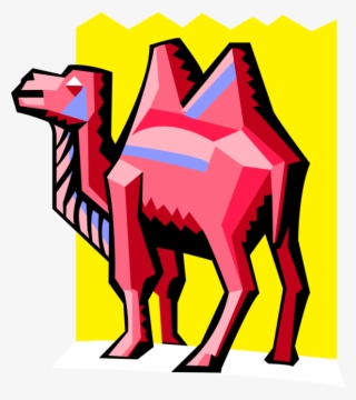 Vector Illustration Of Dromedary African Beast Of Burden