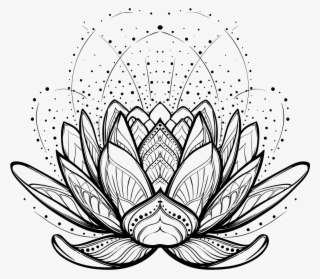 Illustration Vector Design Graphics Drawing Stock Clipart - Leaf Lotus Flower Drawing