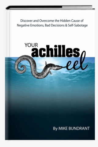 Achilles Eel Cover Final Thin3d - Merrill Lynch Bull