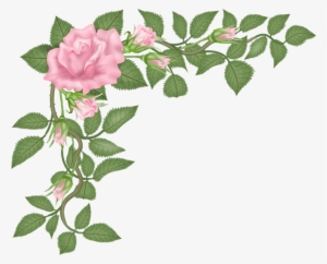 Flowers - Hybrid Tea Rose
