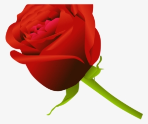 Rose Vector - Clip Art Rose Flower