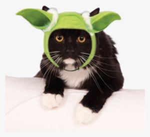 Star Wars Yoda Hood Cat Costume - Cats Yoda Star Wars Ears