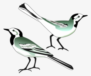 Bird Nest White Wagtail Computer Icons Drawing - Wagtail Transparent