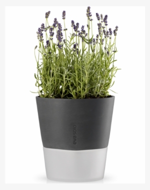 Eva Solo Self-watering Herb Pot - Eva Solo Flowerpot