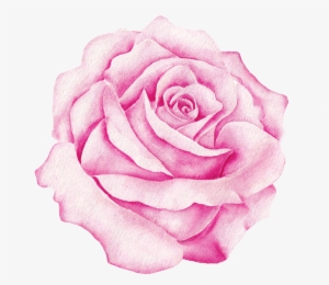 Watercolour - Pink
