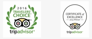 Tripadvisor Awards And Certificates - Travelers Choice Tripadvisor Logo