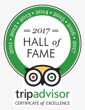 Facebook Trip Advisor