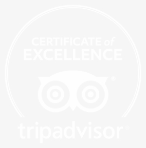 Newsletter Updates - Tripadvisor Certificate Of Excellence Logo Black And