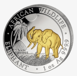 Official Somalia Silver Elephant "gilded" - Silver
