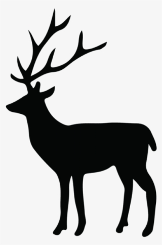 Free Png Deer Silhouette Png - Transparent Background Deer Clip Art