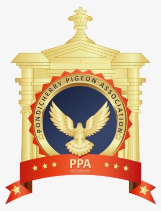 Main Logo - Design