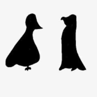 Pigeon Penguin Logo Identity - Adã©lie Penguin