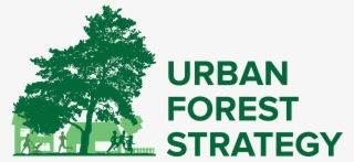 Urban Forest Strategy Launch - Team In Training New