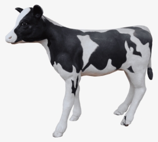 Cow Holstein Calf - Dairy Cow