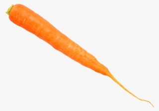 Carrot - Baby Carrot