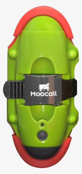 Moocall Calving Sensor