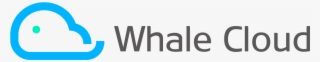 Zsmart Oft V8 - Whale Cloud Logo